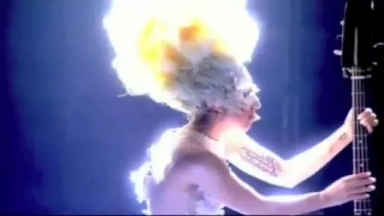 Lady gaga fan video