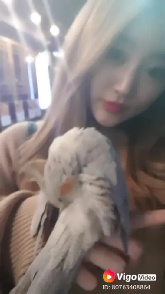 181022 Sohyeon (Jerry) Vigo Video