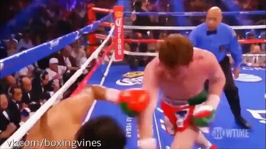 Canelo