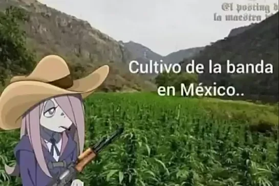 mexican_anime