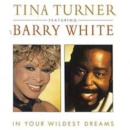 Tina Turner & Barry White - In Your Wildest Dreams (1996)