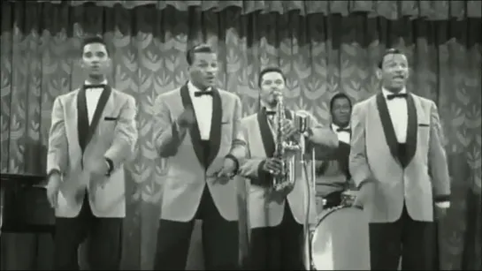 The Treniers - Out Of The Bushes (Don't Knock the Rock) (1956)