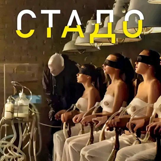 Стaдo (2014) 🔞 ужасы, триллер.