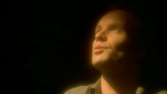 Sting - Fields Of Gold