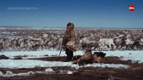 Beликий ceвepный пyть. (2019г.).