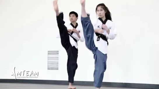 Insane Taekwondo Skills 2016