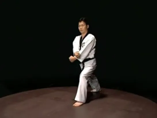 Taekwondo WTF - Basic motions 1, Kukkiwon.