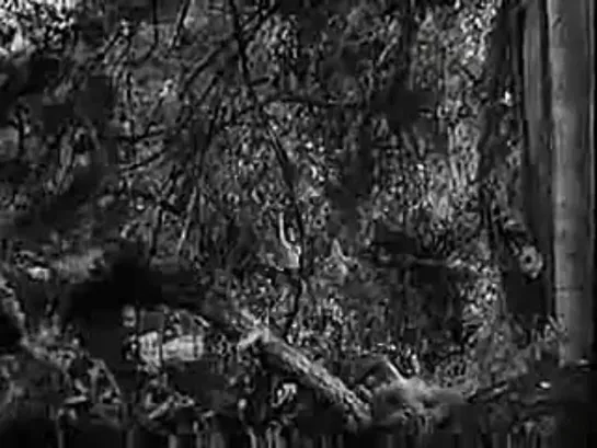 Тарзан: Человек-обезьяна (1932) Tarzan the Ape Man