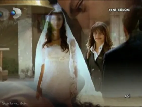 ASI /I surrender/Asi&Demir