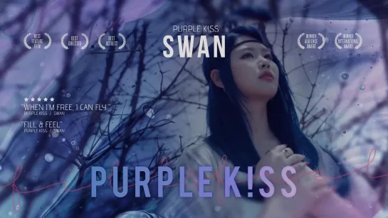 PURPLE K!SS -  Fill&Feel(SWAN)