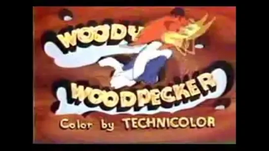 woody woodpecker (заставка)