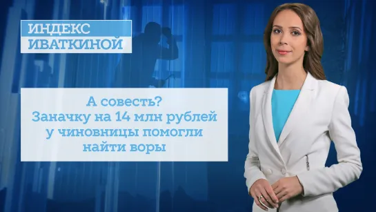 А совесть? Заначку на 14 млн рублей у чиновницы помогли найти воры