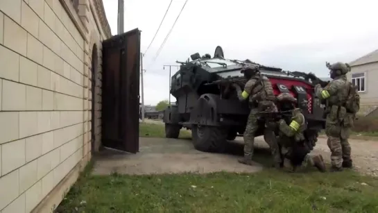 Фалькатус в боевой обстановке