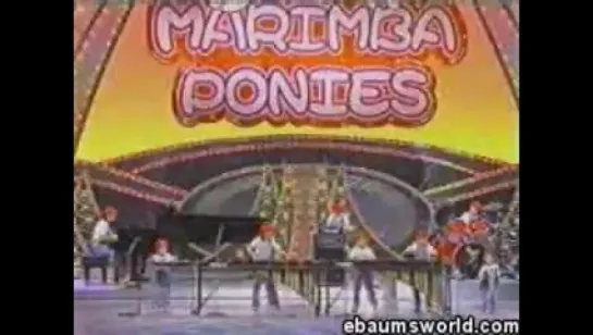 Marimba ponies