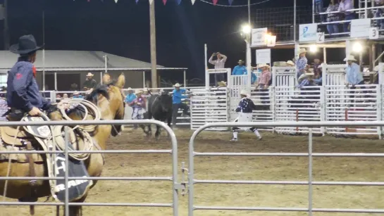 Bull Riding (5) Jayhawker Roundup Rodeo 2019