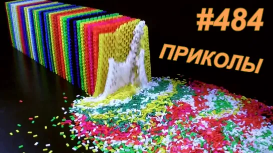 Приколы июль 2019 №484