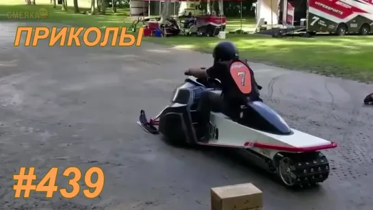 Приколы июнь 2019 №439