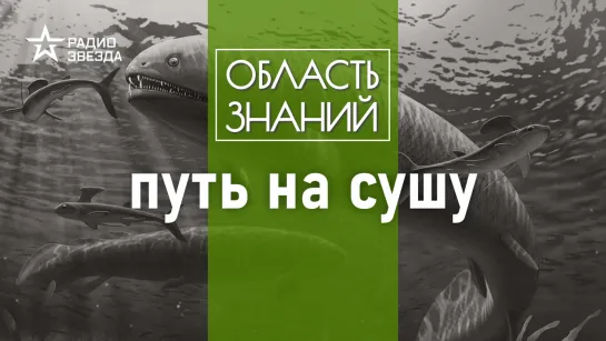 Каким образом рыба превратилась в жабу?