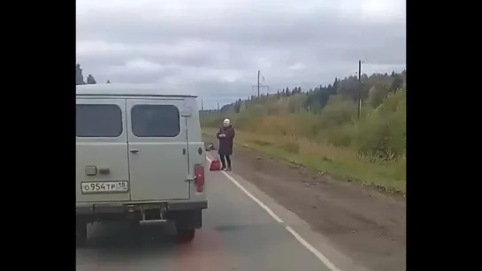 28.09.2017 Последствия ДТП с наездом на лося на Нылгинском тракте, Удмуртия (Нецензурная лексика/18+)