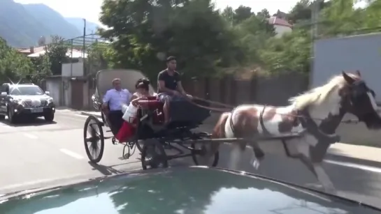 В Грузии карета с молодожёнами врезалась в забор дома.