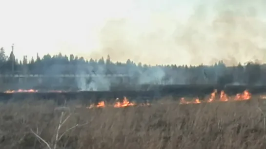 29.04.2015 у Нижнего Вожоя горит трава (Удмуртия)