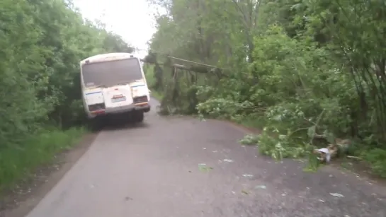 21.06.2018 На автобус упало дерево (Удмуртия)