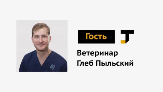 Гость TJ: ветеринар — про всё о животных