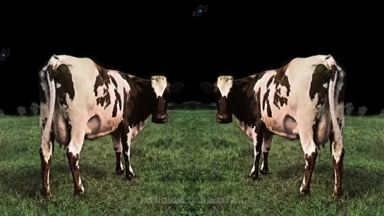 Pink Floyd - Atom Heart Mother (1970)