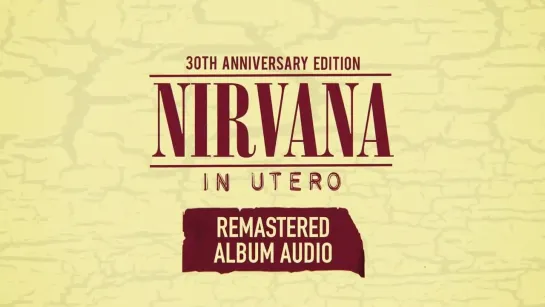 NIRVANA In Utero 30th Anniversary Edition