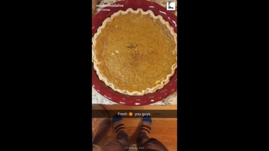 MikeShinodaLive snapchat - Thanksgiving dinner [LPCoalition]