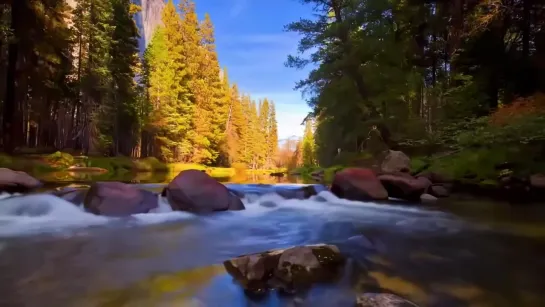 Красота Земли (Музыка Leo Rojas)