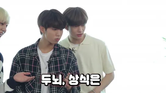 [190627] Stray Kids » teaser » Insane Quiz Season 2