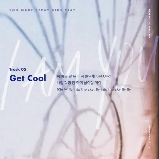 [181018] Stray Kids » inst.lyric card 5 ”Get Cool”