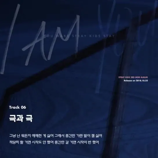 [181018] Stray Kids » inst.lyric card 6 ”극과 극”