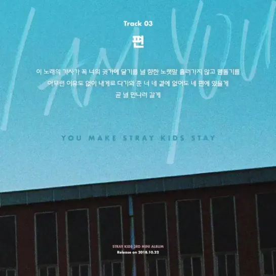 [181017] Stray Kids » inst.lyric card 3”편”