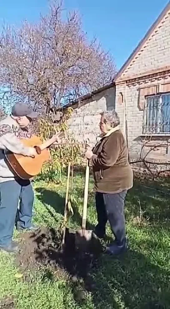 Видео от Добрый Медик