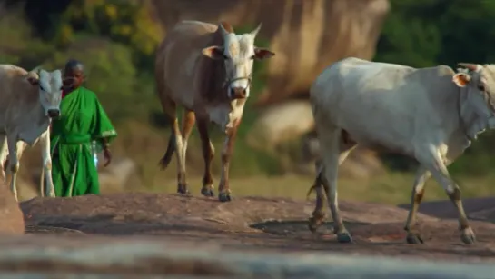 Hampi - Valley of the Kings - documentary about wildlife conservation in India