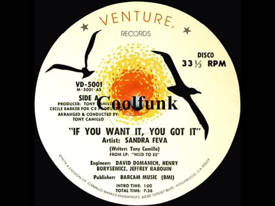 Sandra Feva - If You Want It, You Got It (12  Disco 1978)