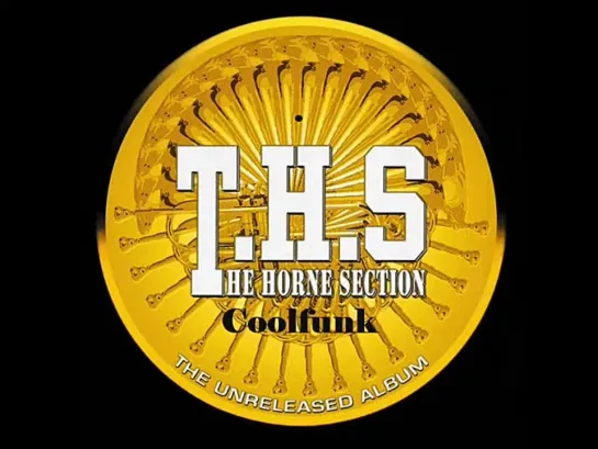 T.H.S. (The Horne Section) - True Confusion (Boogie-Funk)