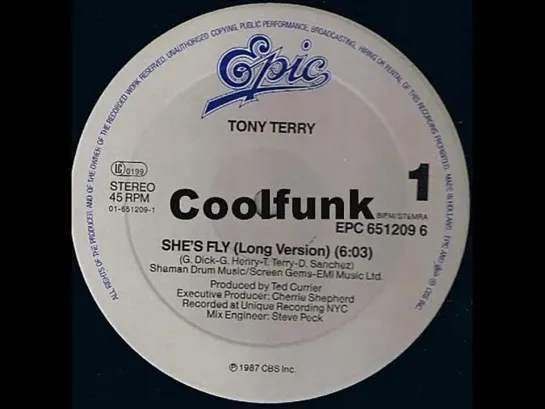 Tony Terry - Shes Fly (12  Funk 1987)