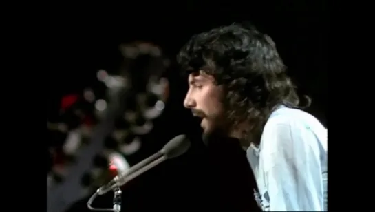 Cat Stevens - Wild World