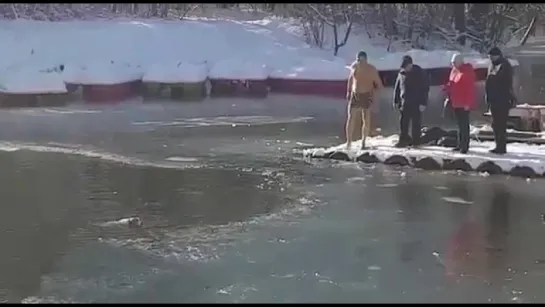 Крымчанин прыгнул в ледяную воду , чтобы спасти собаку ...