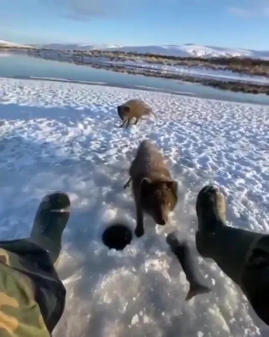 Видео от Сергея Сергеевича