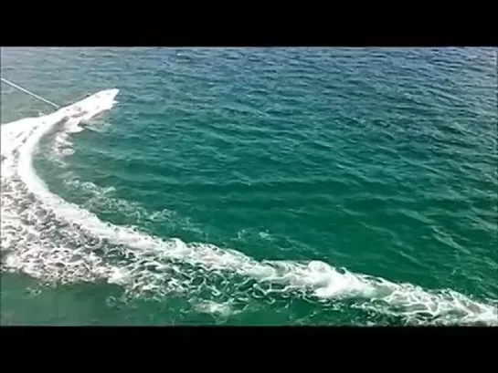 Stingray Migration in Destin Florida