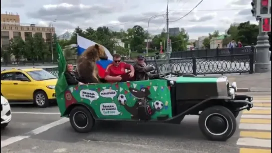 Живой медведь поддерживает нашу сборную!