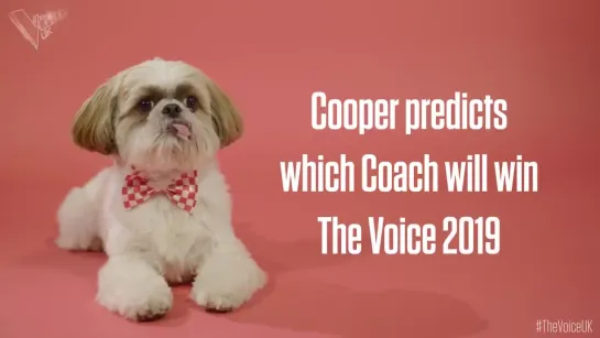 Cooper predicts (The Voice UK 2019)