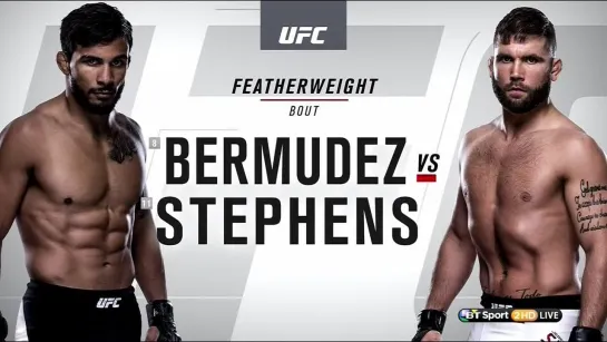 Красочный бой UFC 189 - Jeremy Stephens vs Dennis Bermudez