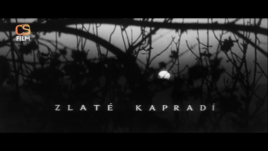 Zlaté kapradí (1963)