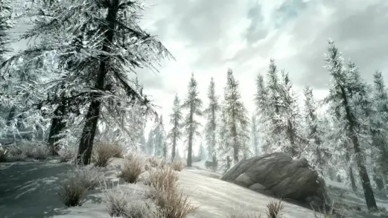 Живые обои - Elder Scrolls V Skyrim 3