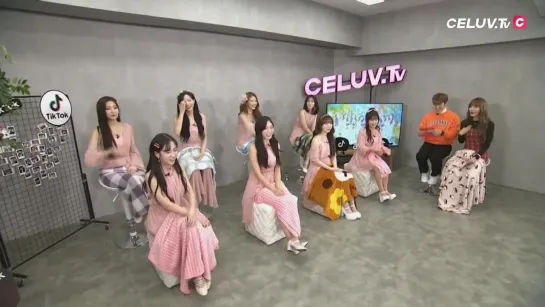 181203 | Lovelyz | Celuv TV